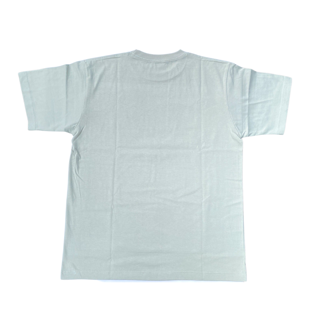 PeaceBeam Tee / Sage green